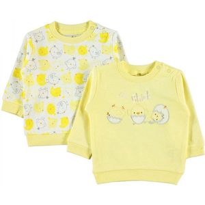 Baby 2 delige sweater set meisjes/jongens - Babykleding