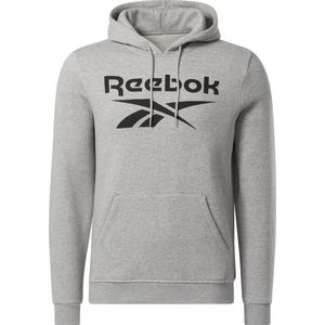 Reebok RI FLC BIG LOGO HOOD - Heren Trui - Grijs - Maat 2XL