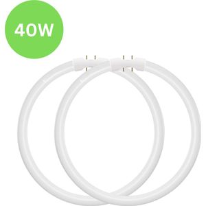 TL5 - Ronde TL-buis - 40W - 2GX13 (4-pins) Ø 30cm - Koel Wit - 2 stuks