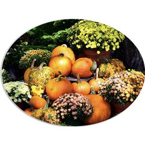 PVC Schuimplaat Ovaal - Herfsttafereel van Pompoenen en Bloempotten bij Boom - 96x72 cm Foto op Ovaal (Met Ophangsysteem)