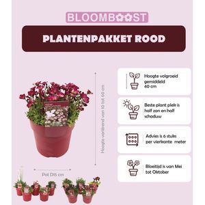 Plantenpakket set van 5 planten, kleur rood in 15 cm pot. Bloomboost-moestuin-bloemen-vaste planten-kweektuintje-rood-valentijn-moederdag-vaderdag-verjaardag-voorjaar-tuin-inclusief-biodiversiteit-borderpakket-zomer-visueel aantrekkelijk-planten