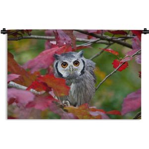 Wandkleed - Wanddoek - Uil - Vogel - Bladeren - Herfst - 90x60 cm - Wandtapijt