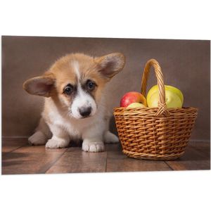 Vlag - Corgi Puppy langs Mandje gevuld met Appels - 90x60 cm Foto op Polyester Vlag