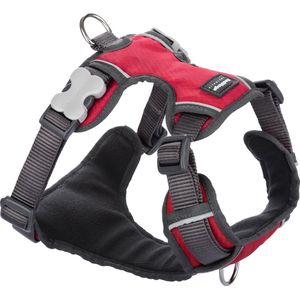 Red Dingo Tuig Padded Harness body omvang 37-52cm DH-PH-RE-SM