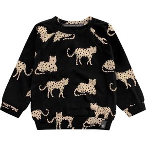 Your Wishes Wild Cheetahs Sweatshirt - Trui - Zwart - Unisex - Maat 50/56