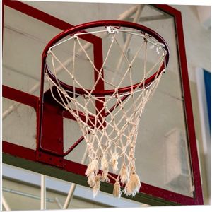 Forex - Basketball Net - 80x80cm Foto op Forex