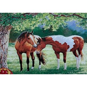 Denza - Diamond painting volwassenen 2 paarden 40 x 50 cm volledige bedrukking ronde steentjes direct leverbaar - unieke afbeelding - horse - weiland - paard