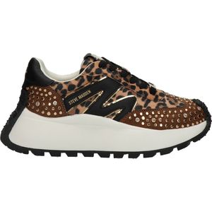 Steve Madden - Supercampo - Sneakers - Panterprint - Dames