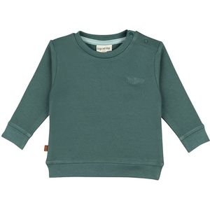 Frogs and Dogs - Pilot Club Baby Sweater | Sea Pine - Katoen - Maat 68