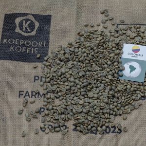 Colombia Supremo - ongebrande groene koffiebonen - 1 kg