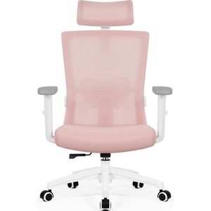 Hiaonyx bureaustoel-ergonomische bureaustoel-bureaustoelen voor volwassenen-hoogte verstelbare armleuningen-2D lendensteun-Maximale kanteling 135°- Roze