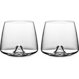 Whiskey glasses - 2 glazen