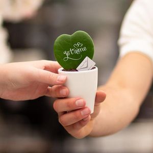 Cadeauplanten.nl | Message Printz Hoya (Heartplant)| Je t'aime - Ø7cm - 14cm hoog - Kamerplant - Arrangement - Plant met pot