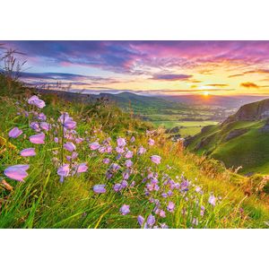 Castorland - Herebells Bij Zonsopgang - Puzzel - Karton - 500 Stukjes