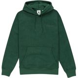 Element Cornell Hoodie Groen XL Man