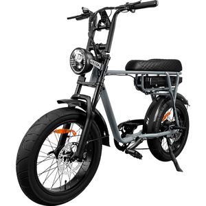 Fat Wheelz - FW4 Grey Edition - Fatbike E-bike 250Watt 25 km/u 20” Banden – 7 Versnellingen met alarm