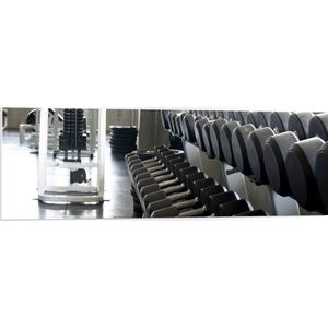 PVC Schuimplaat - Rij Dumbells op Rek in Sportschool - 120x40 cm Foto op PVC Schuimplaat (Met Ophangsysteem)