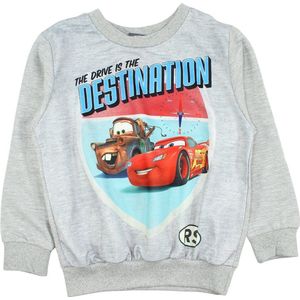 Disney Cars Sweater - Maat 122 (tot 7 jaar)