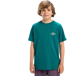 Quiksilver Ev Beach Blast T-shirt Met Korte Mouwen Groen 8 Years Jongens