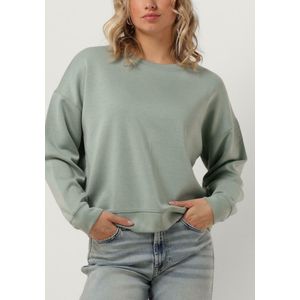 MSCH Copenhagen Mschima Q Sweatshirt Truien & vesten Dames - Sweater - Hoodie - Vest- Groen - Maat L/XL