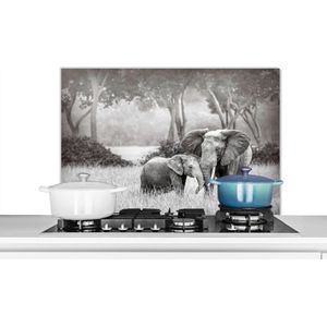 Spatscherm keuken 90x60 cm - Kookplaat achterwand Olifant - Dieren - Natuur - Zwart wit - Muurbeschermer - Spatwand fornuis - Hoogwaardig aluminium