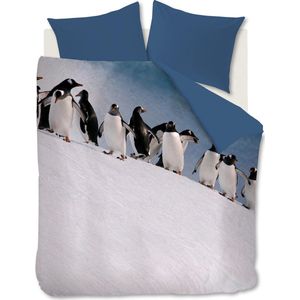 Ambiante Penguins dekbedovertrek - Lits-Jumeaux - 240x200/220 - IJsblauw