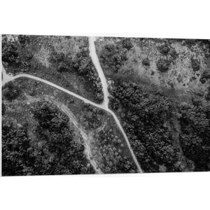 PVC Schuimplaat- Bovenaanzicht Weg door Bos Zwart-Wit - 105x70 cm Foto op PVC Schuimplaat