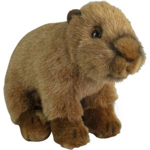 Nature Planet Knuffeldier Capybara - zachte pluche stof - premium knuffels - bruin - 18 cm