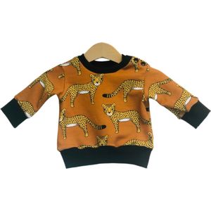 Sweater | Trui Leo - Bio-cotton - Kraamcadeau - Baby - Maat 68