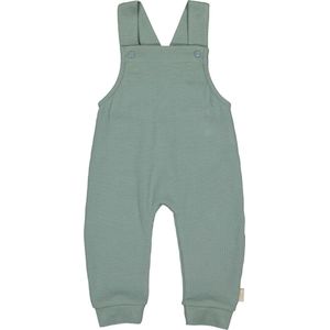 Levv Baby Tuinbroek Green maat 68
