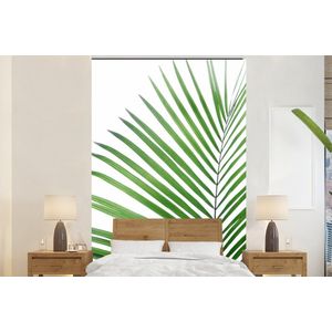 Plant - Groen - Natuur - Wit - Behangpapier