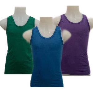 Embrator 3-stuks Jongens Hemdje mix5 maat 134/140