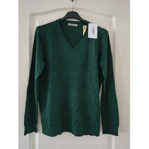 Dames warme trui Alida-V-hals-fijngebreid-effen groen-lange mouwen-maat XL/XXL