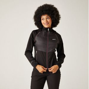 Regatta - Steren II - Softshelljack - Waterdicht - Dames