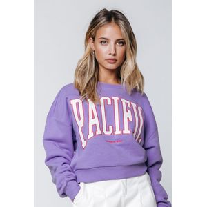 Colourful Rebel Pacific Patch Cropped Sweat - M