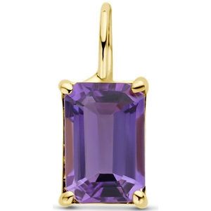 14K Geelgoud - Hanger - Amethist - 10.5x4.5mm
