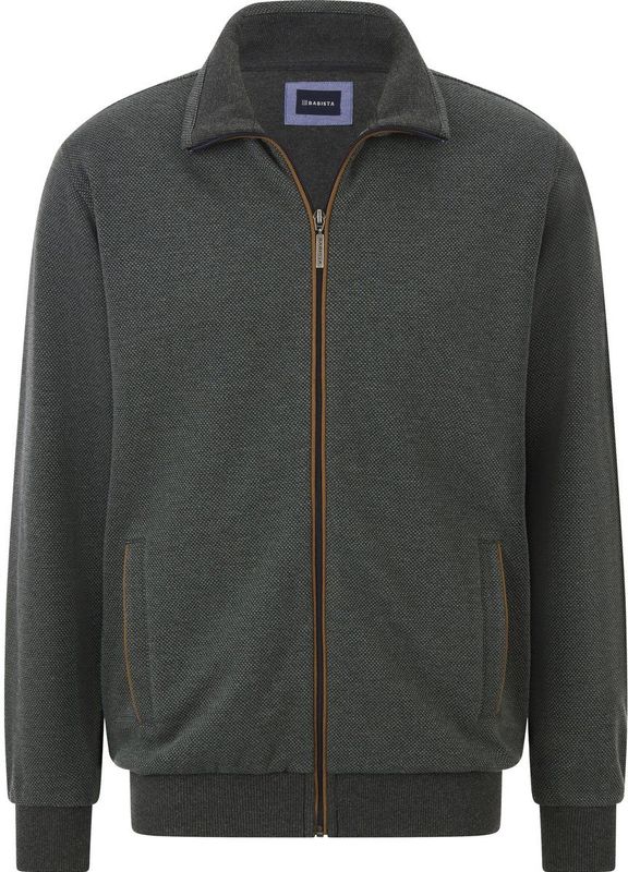 Babista - VITETTI - Sweatvest - Donkergroen