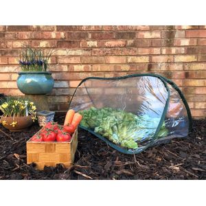 GardenSkill Mini Polytunnel Kas 100x40cm, Pop-up Plantentunnel voor Tuin, Kweekkas Groei Tunnel, Beschermhoes voor Potplanten, Plantenbak, Verhoogde Bedden