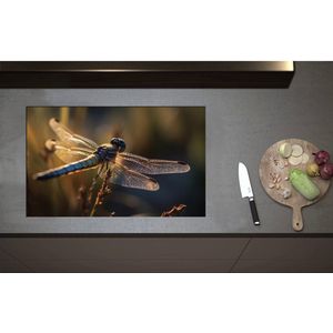Inductieplaat Beschermer - Blauwe libel staat op bloem met gedetaileerde doorzichtige vleugels - 80x50 cm - 2 mm Dik - Inductie Beschermer - Bescherming Inductiekookplaat - Kookplaat Beschermer van Wit Vinyl