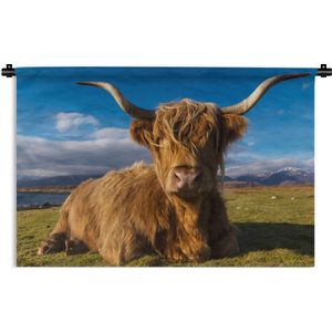 Wandkleed Schotse Hooglanders  - Liggende Schotse hooglander Wandkleed katoen 150x100 cm - Wandtapijt met foto