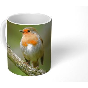 Mok - Koffiemok - Vogel - Roodborstje - Tak - Planten - Mokken - 350 ML - Beker - Koffiemokken - Theemok