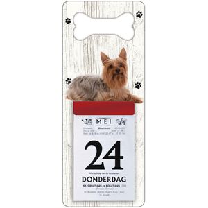 Scheurkalender 2024 Hond: Australische Silky Terier