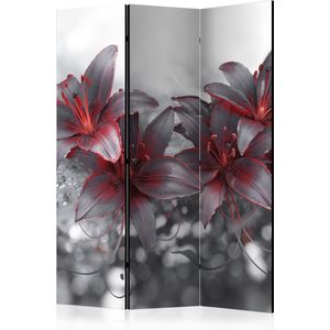 Kamerscherm - Scheidingswand - Vouwscherm - Shadow of Passion [Room Dividers] 135x172 - Artgeist Vouwscherm