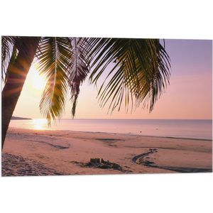 Vlag - Zonsopgang achter Palmboom op het Strand - 75x50 cm Foto op Polyester Vlag
