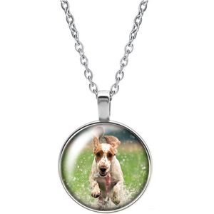 Ketting Glas - Hond