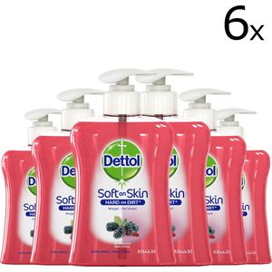 Dettol - Handzeep - Winterbessen - 250ml x6 - Grootverpakking