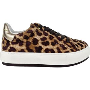 Kurt Geiger - Narcao Sneaker - Bruin - Dames - Leer