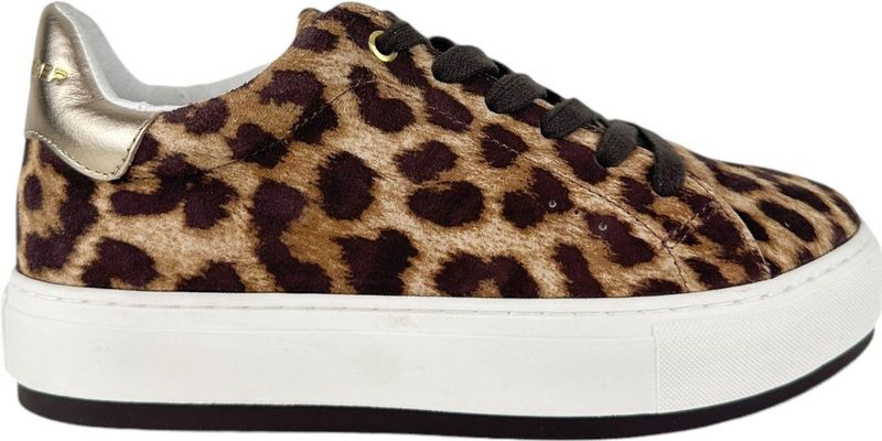Kurt Geiger - Narcao Sneaker - Bruin - Dames - Leer