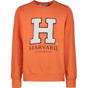 Cars Jeans Trui Maley Sweater 62323 Peach Dames Maat - XS