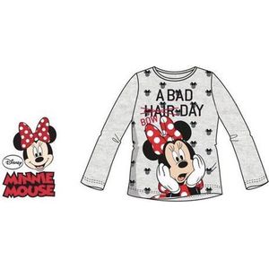 Disney Minnie Mouse longsleeve - grijs - maat 110/116 (6 jaar)